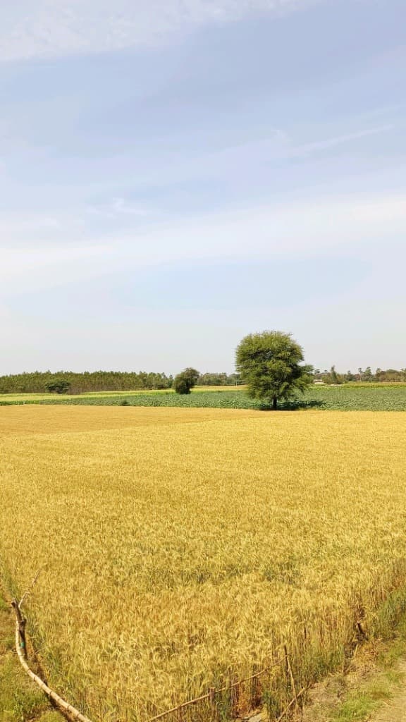 Agricultural Land & Farmhouse Aggregations