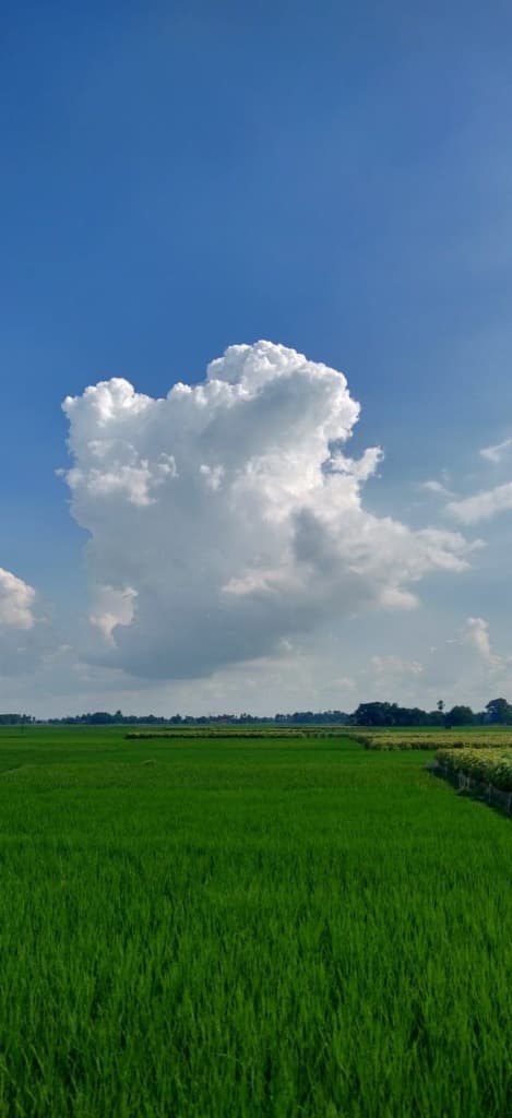 Organic Farm & Agri-Estates